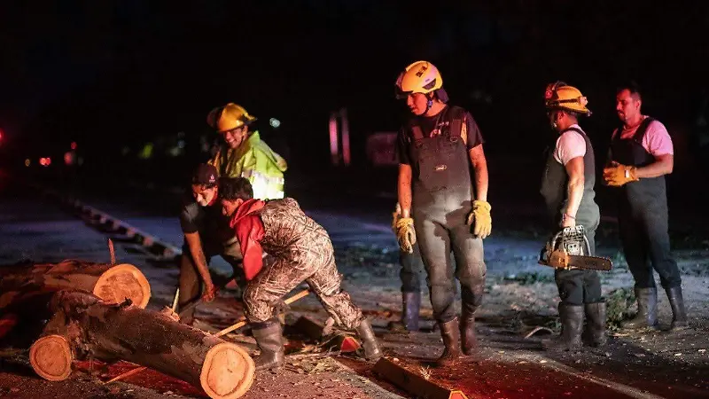 Bomberos GDL árboles caídos (7).jpeg